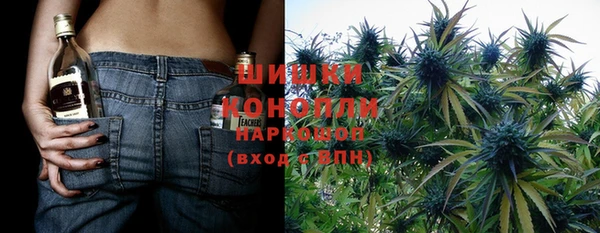 PSILOCYBIN Кинешма