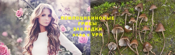 молекула духа Карпинск