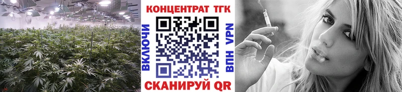 Купить закладки  Верхнеуральск  Дистиллят ТГК гашишное масло 